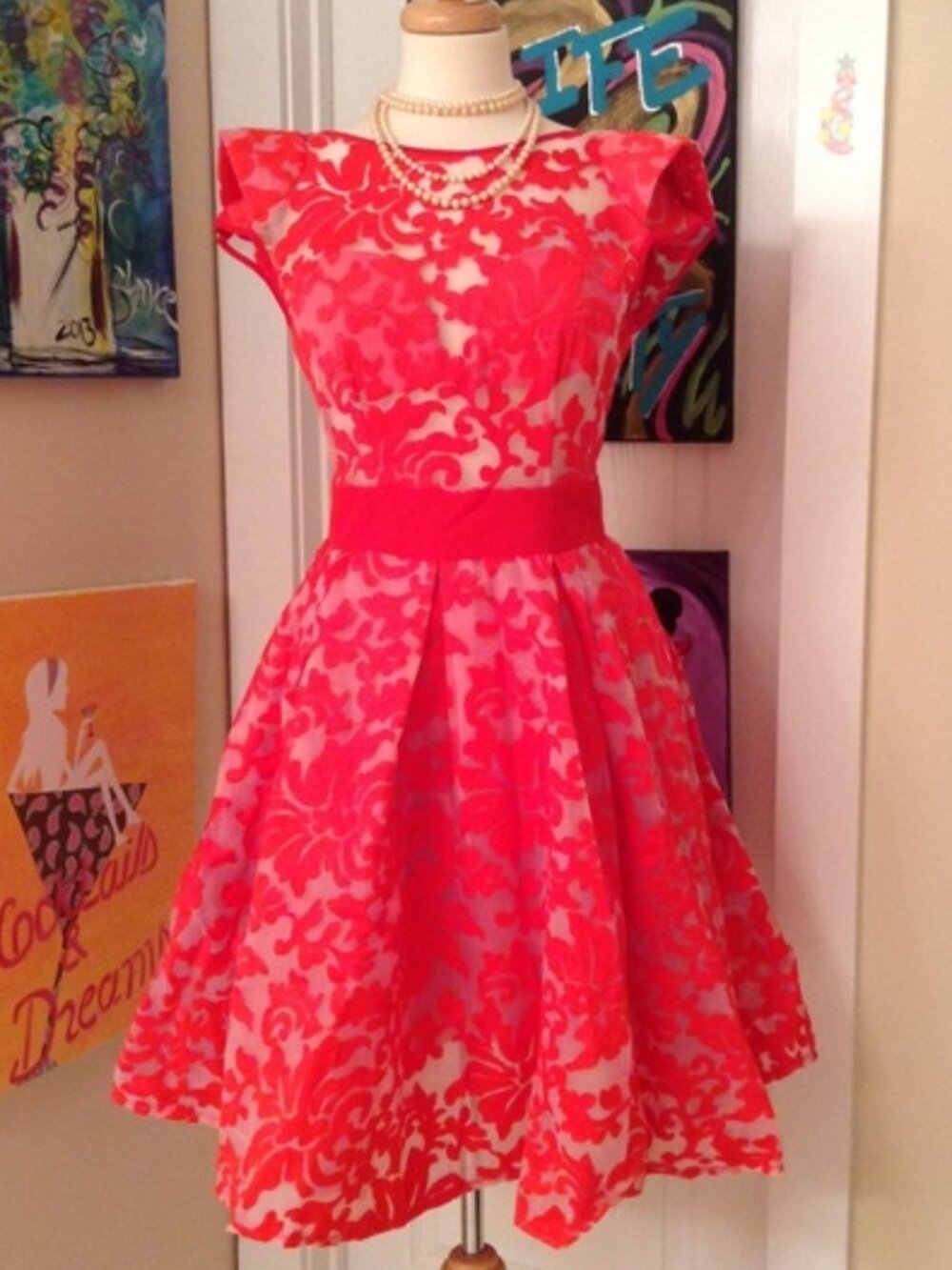 Red Embroidered Organza Dress